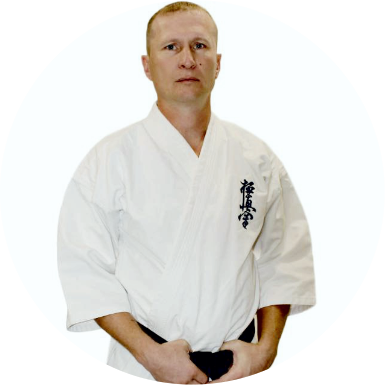 Владимиров Николай Николаевич