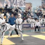 Открытый чемпионат по киокушинкай каратэ «TORA CUP»