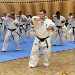 Дан-тест в Японии - новые чёрные пояса и звания